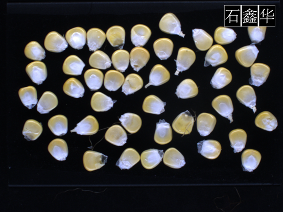 1647677576287017.png image.png