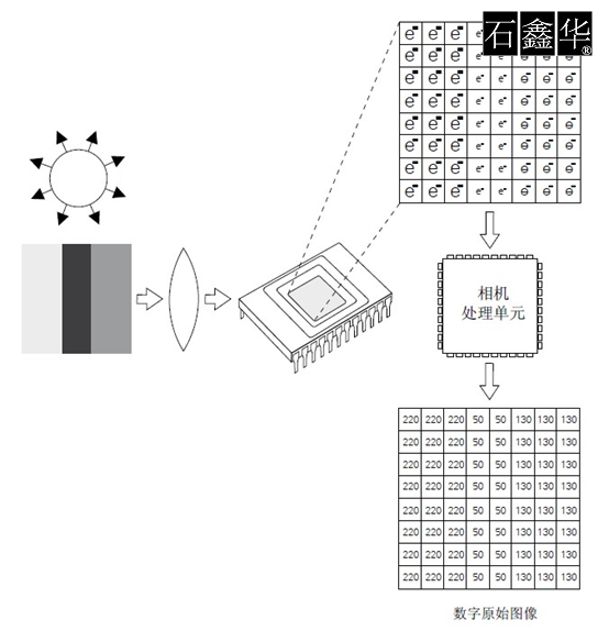 1647745898138582.png image.png