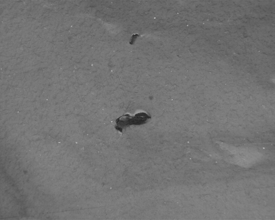 1663830879478570.png image.png