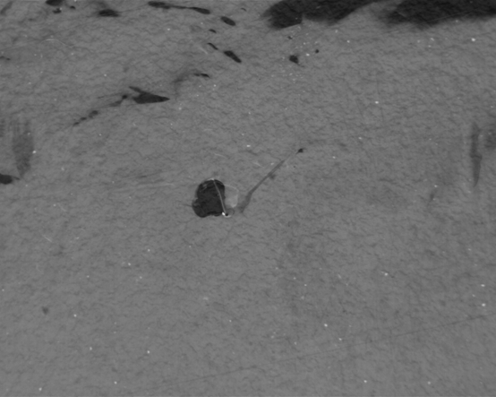 1663830887412010.png image.png